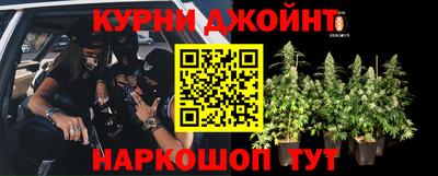 spice Краснокаменск