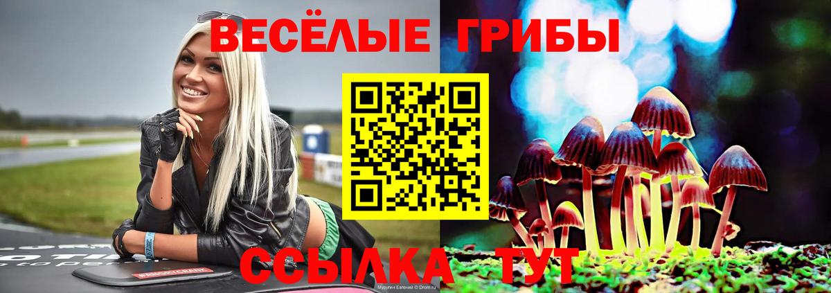 Шадринск  где продают   Вход с VPN  Галлюциногенные грибы MAGIC MUSHROOMS 