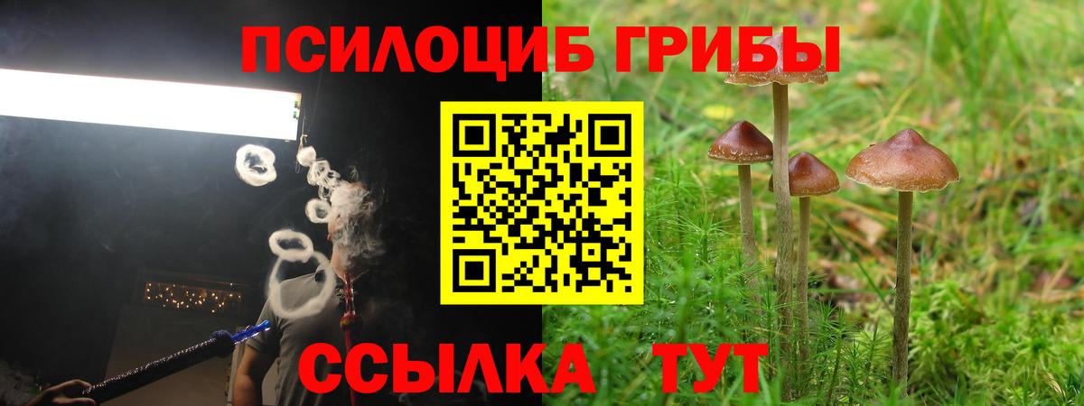 Псилоцибиновые грибы мицелий Шадринск